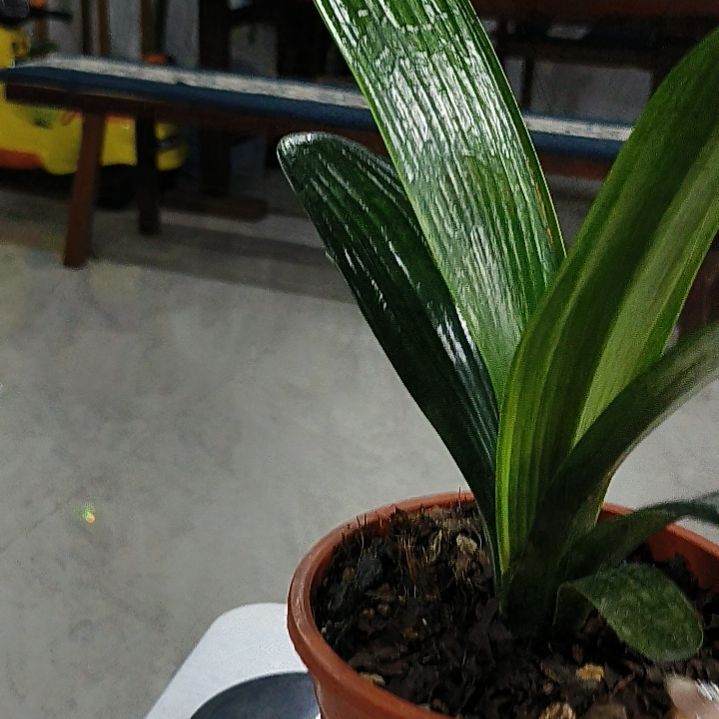 完全开放去咯摸摸摸摸