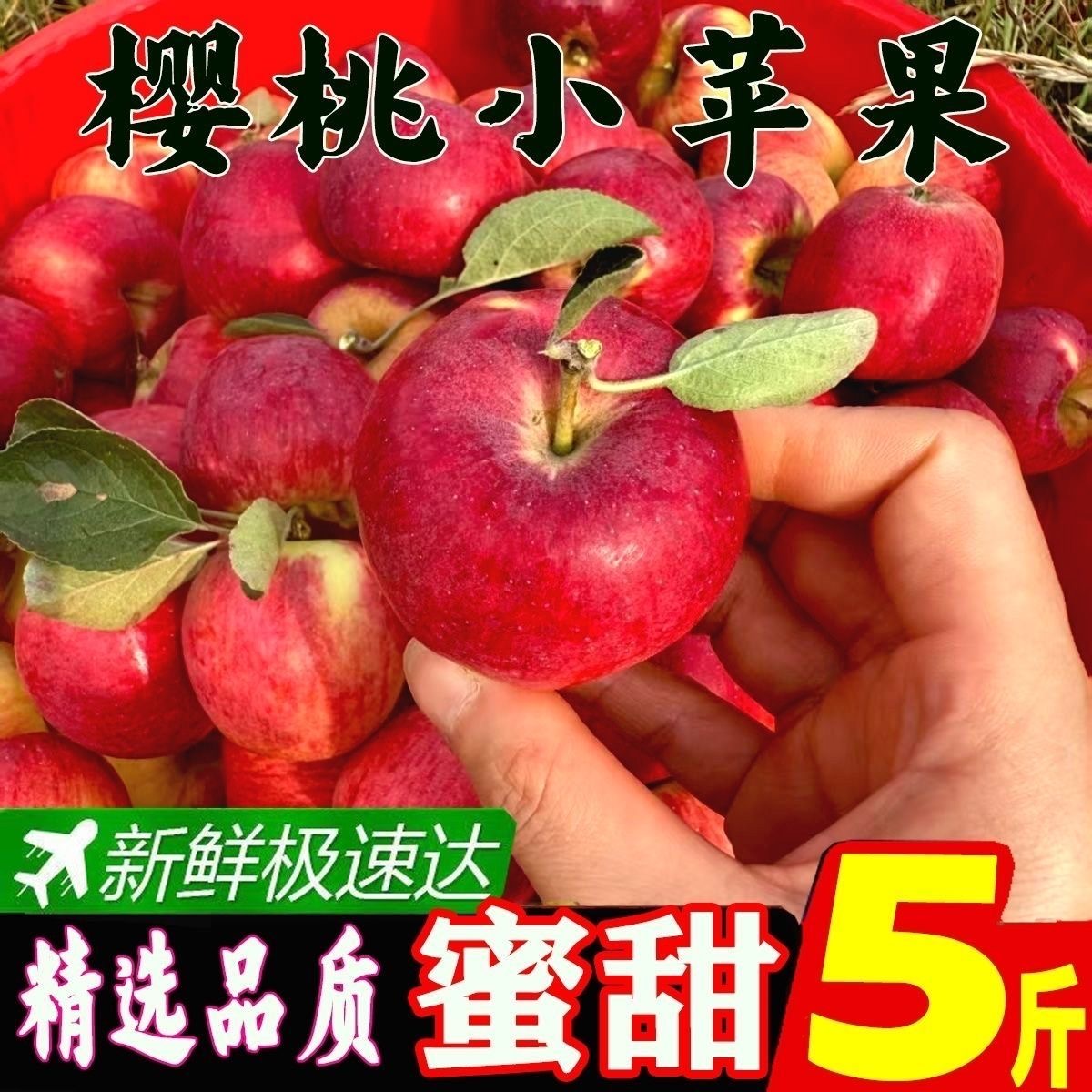 樱桃小苹果大凉山盐源丑苹果一口一个当季新鲜现摘产地直发YZ