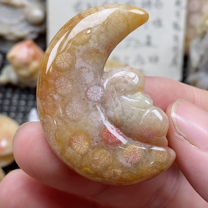 颈饰未镶嵌硅化珊瑚（珊瑚玉）