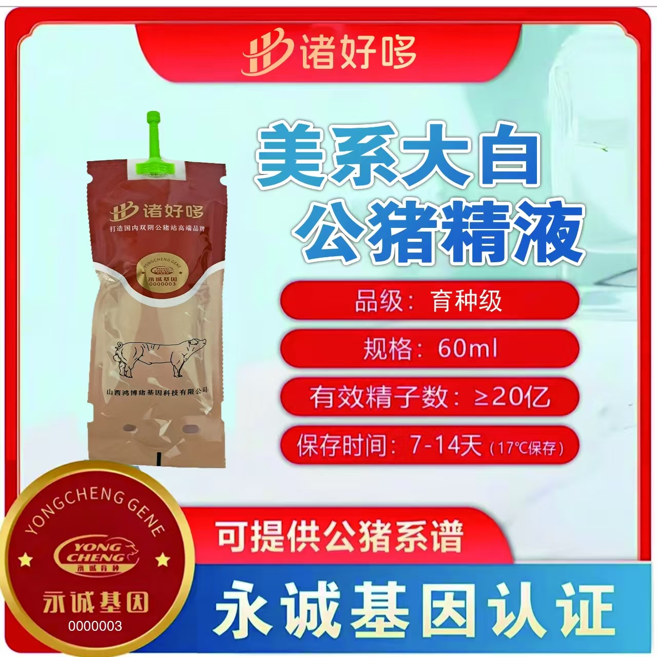 优质美系大白育种级（五星）猪精