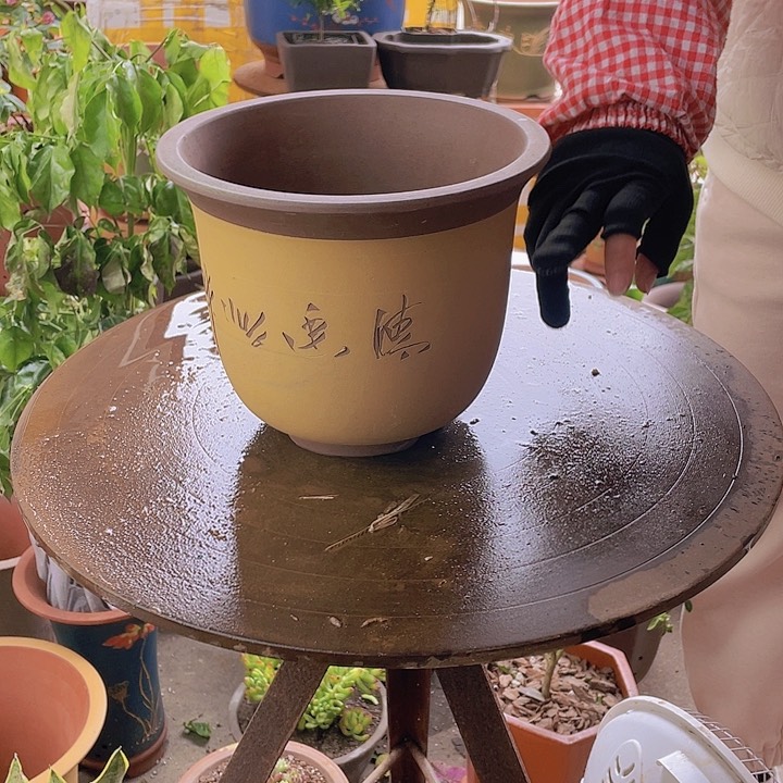 紫砂宜兴紫砂346