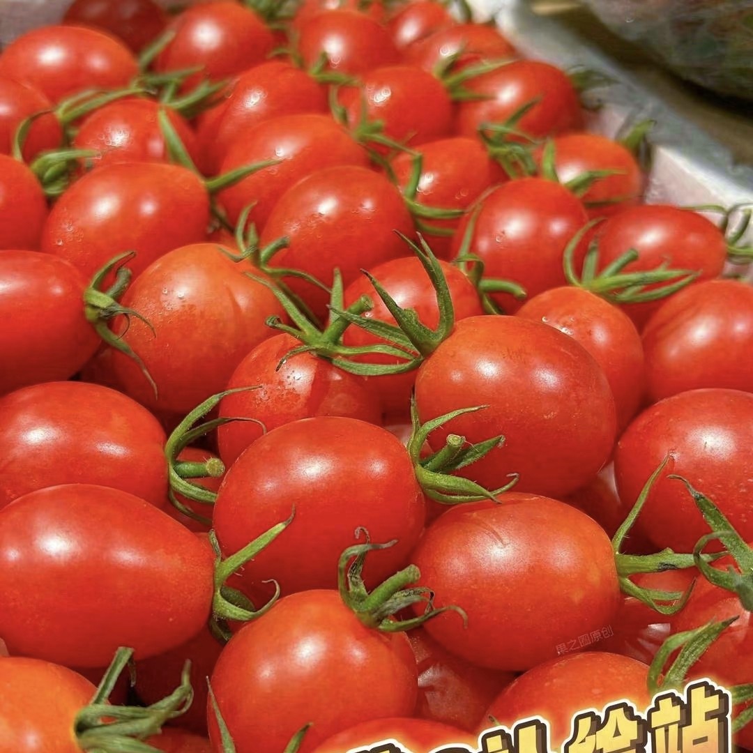 巨好吃宁夏玲珑千禧两斤装千禧圣女果山东省