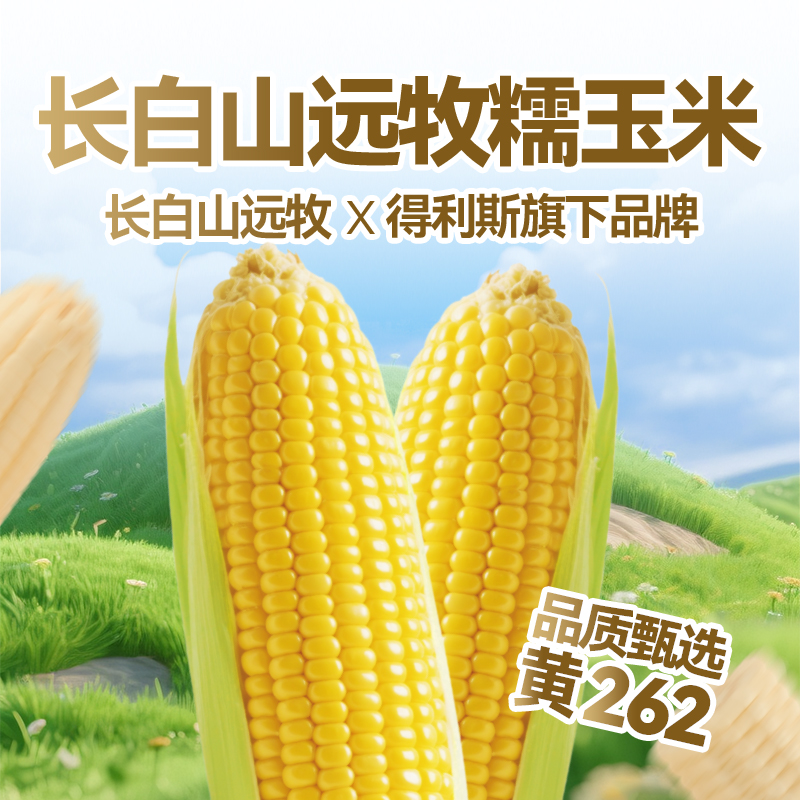 得利斯长白山远牧262黄糯玉米10支装/箱2.5kg