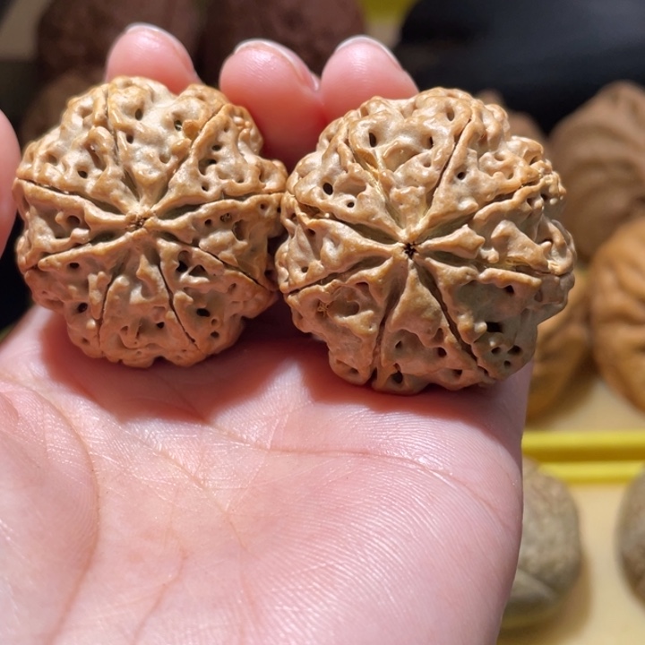 桃核把件稀有大尺八瓣金刚菩提