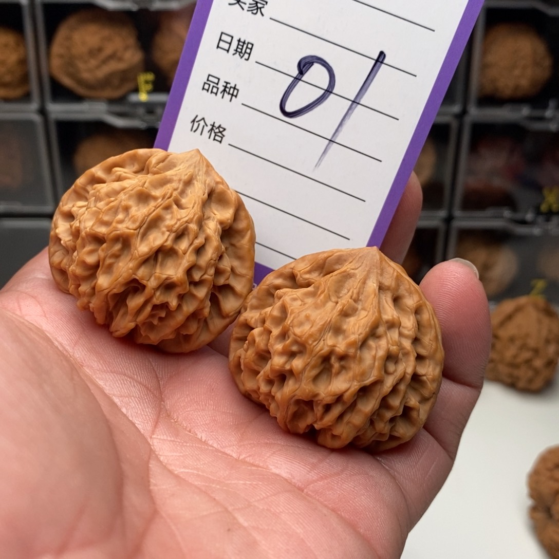 41.5全品龙门涧狮子头