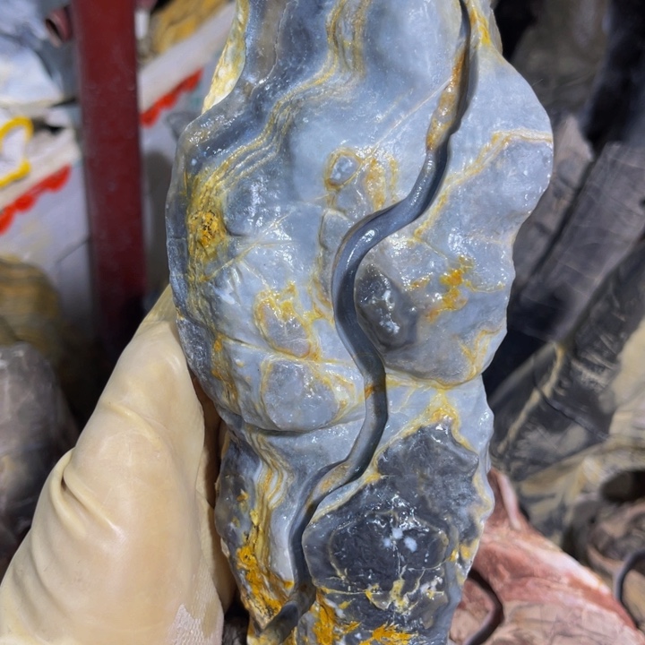 无花朵麦*附石盆景一物一拍