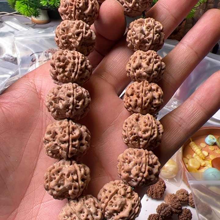 金刚菩提手串21粗筋蜂窝双龙