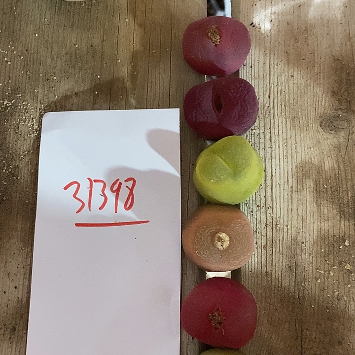 元***～31398。   一组。 一组。
