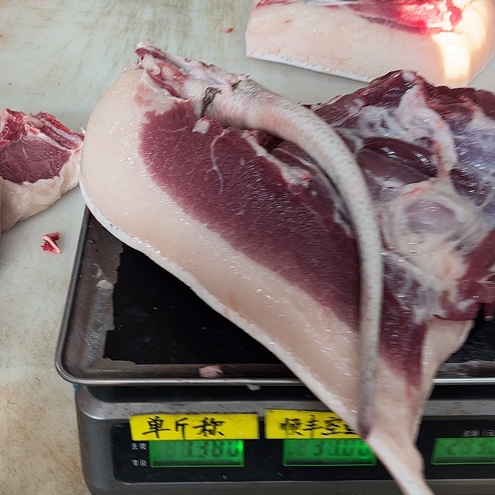 晨***阳18中国大陆从v不健健康康吗