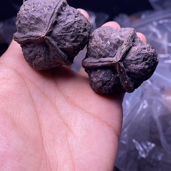 把件文玩核桃   175