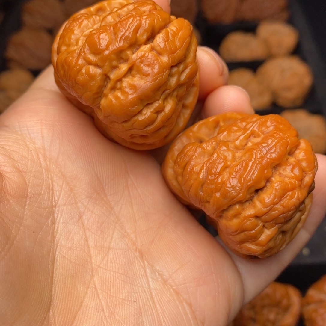 文玩核桃把件秦岭野生核桃
