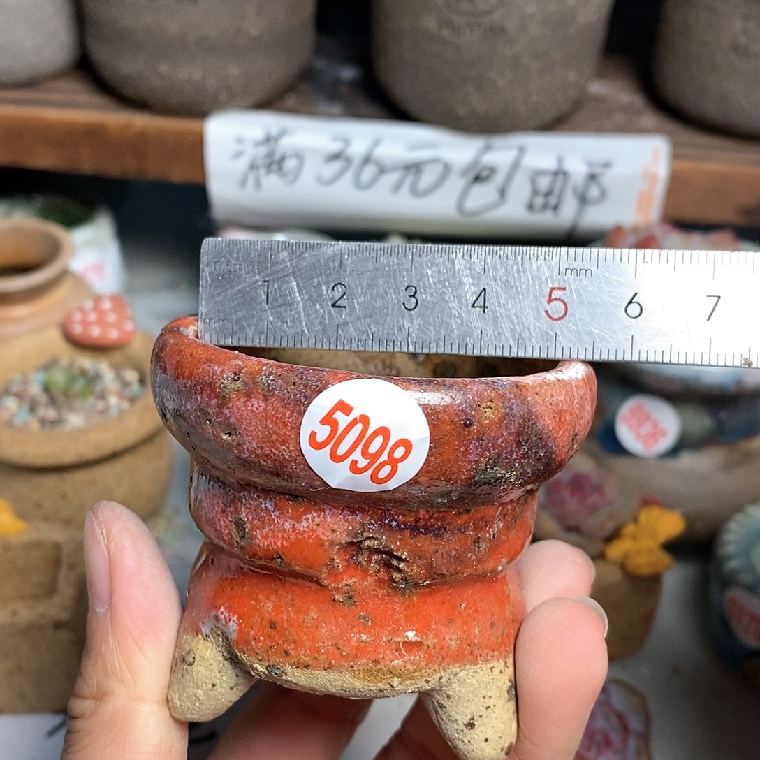 红陶拍5送一个小