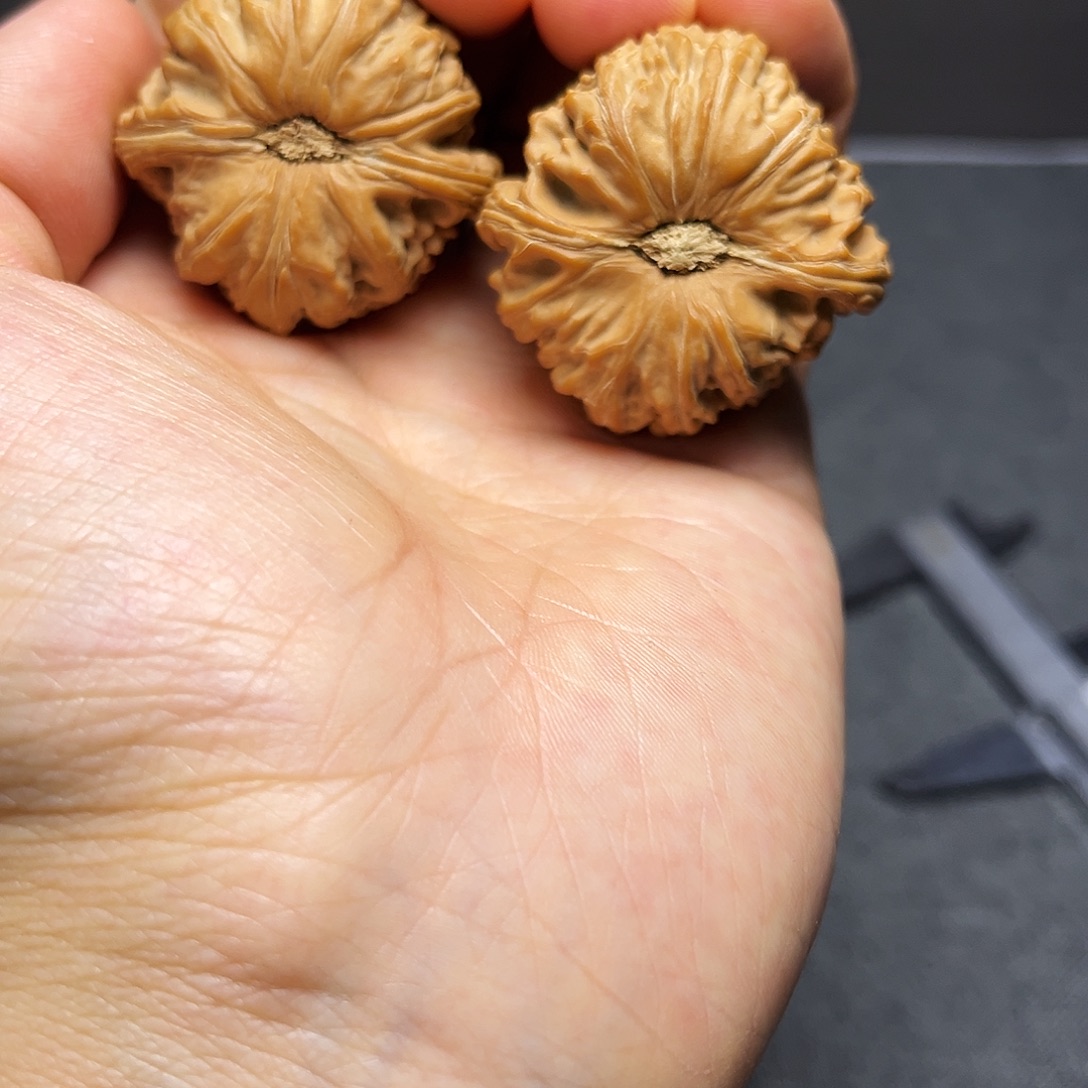 把件文玩核桃白狮子