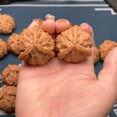 橄榄核手串/手链输**…文山三棱