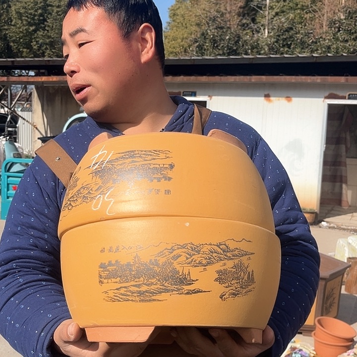 紫砂紫砂花盆盆栽