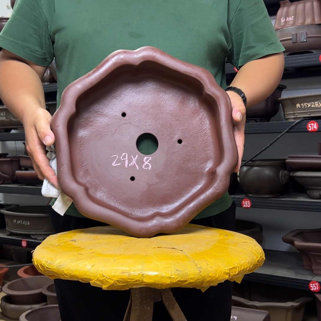 紫砂花盆呜呜呜呜呜我