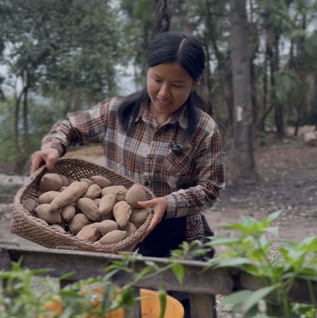 【5斤农家红薯】阳小米与您一起助农麻溪村农家红薯湖南冷水江