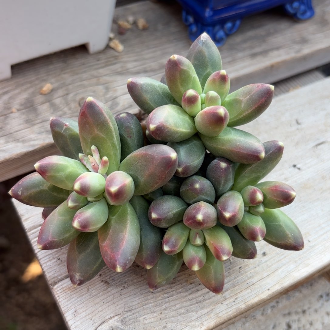 特价千代田1111111111