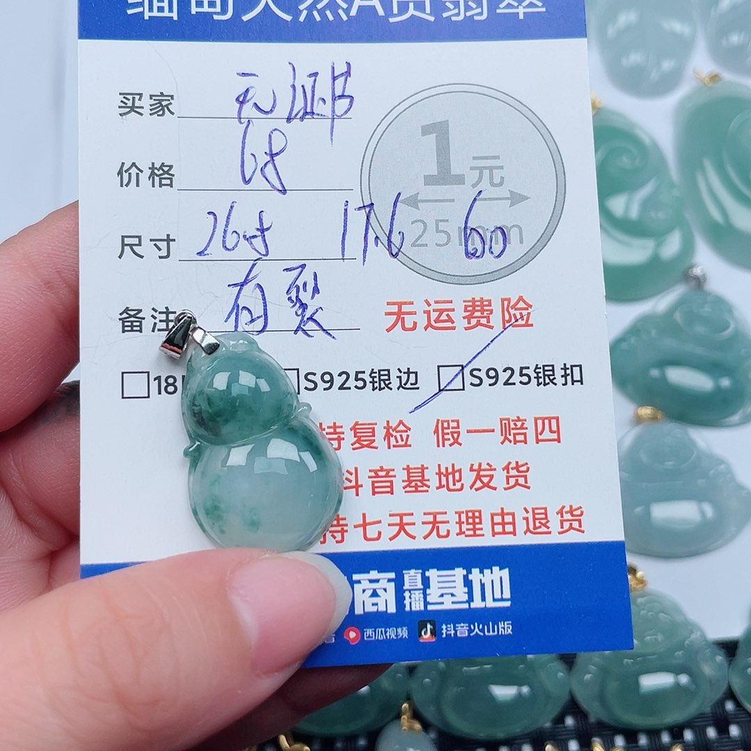 翡翠银S925镶嵌颈饰