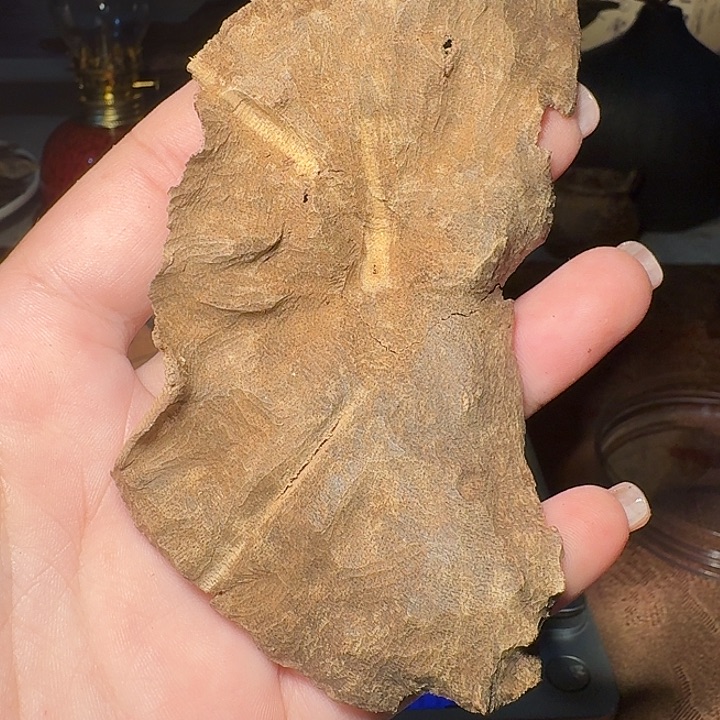 沉香沉香碎屑香港（23年老香）板头熏香料8.7克