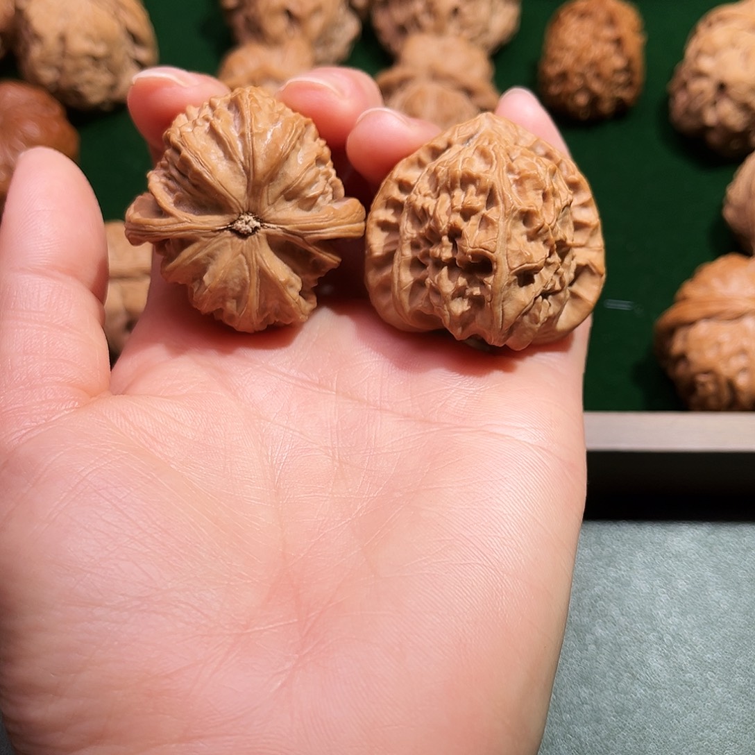 核桃涞水山地果三角白全品39