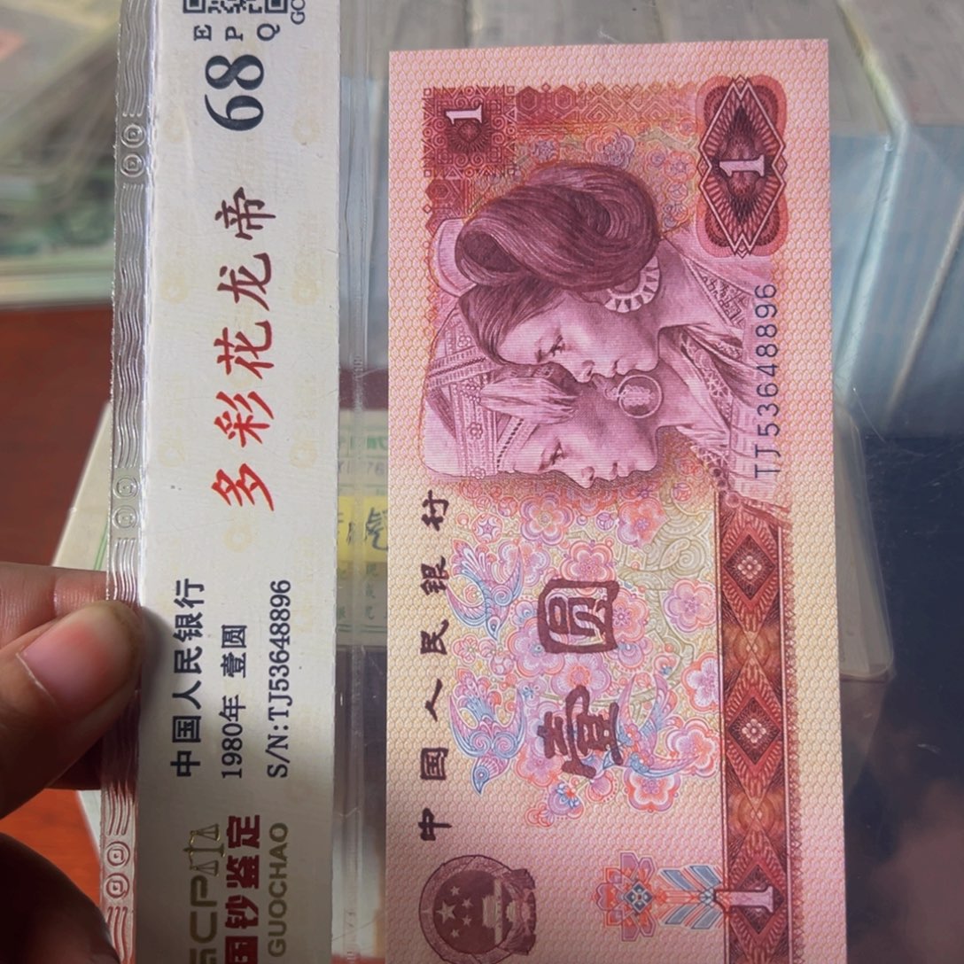 退市多彩花龙单项