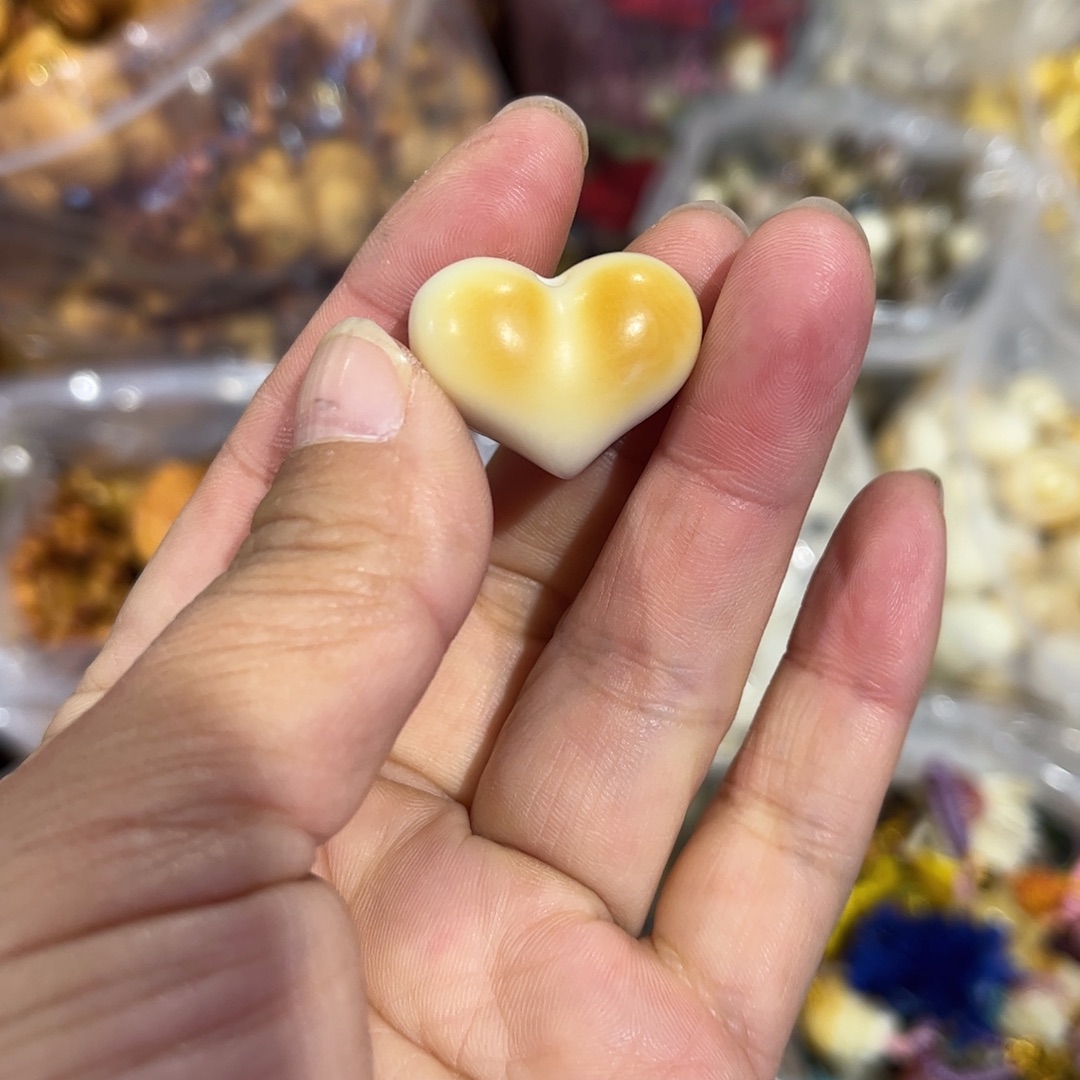 爱心象牙果单科全品
