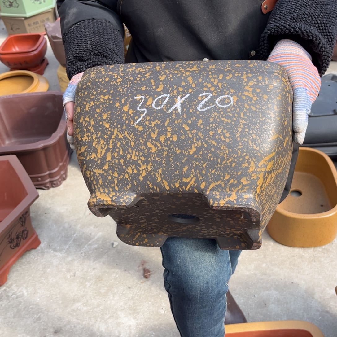 紫砂花盆盆景艺术