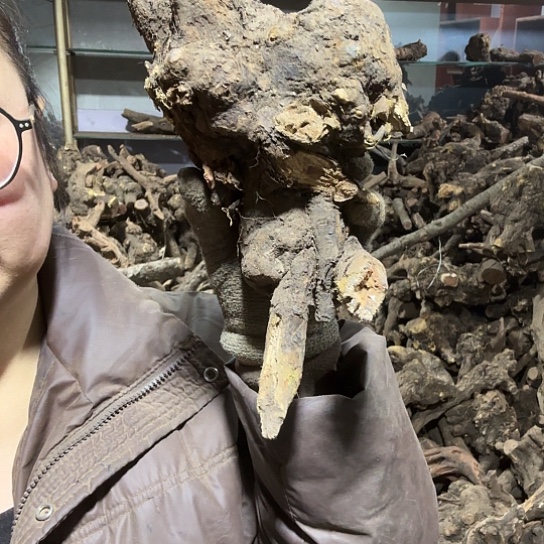 香榧木方*火琉璃的故事毛料摆件