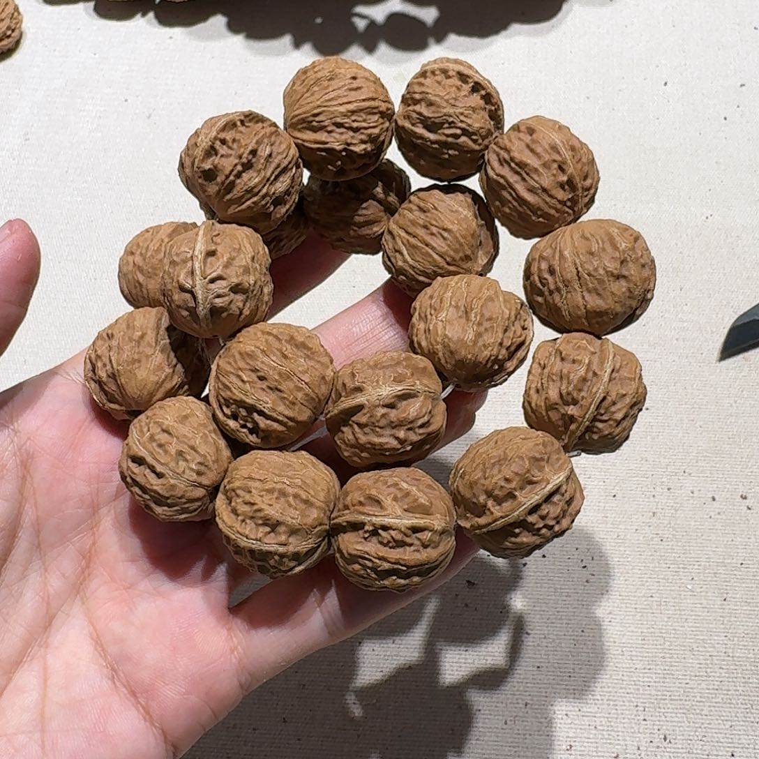 核桃手串/手链38号边25手持