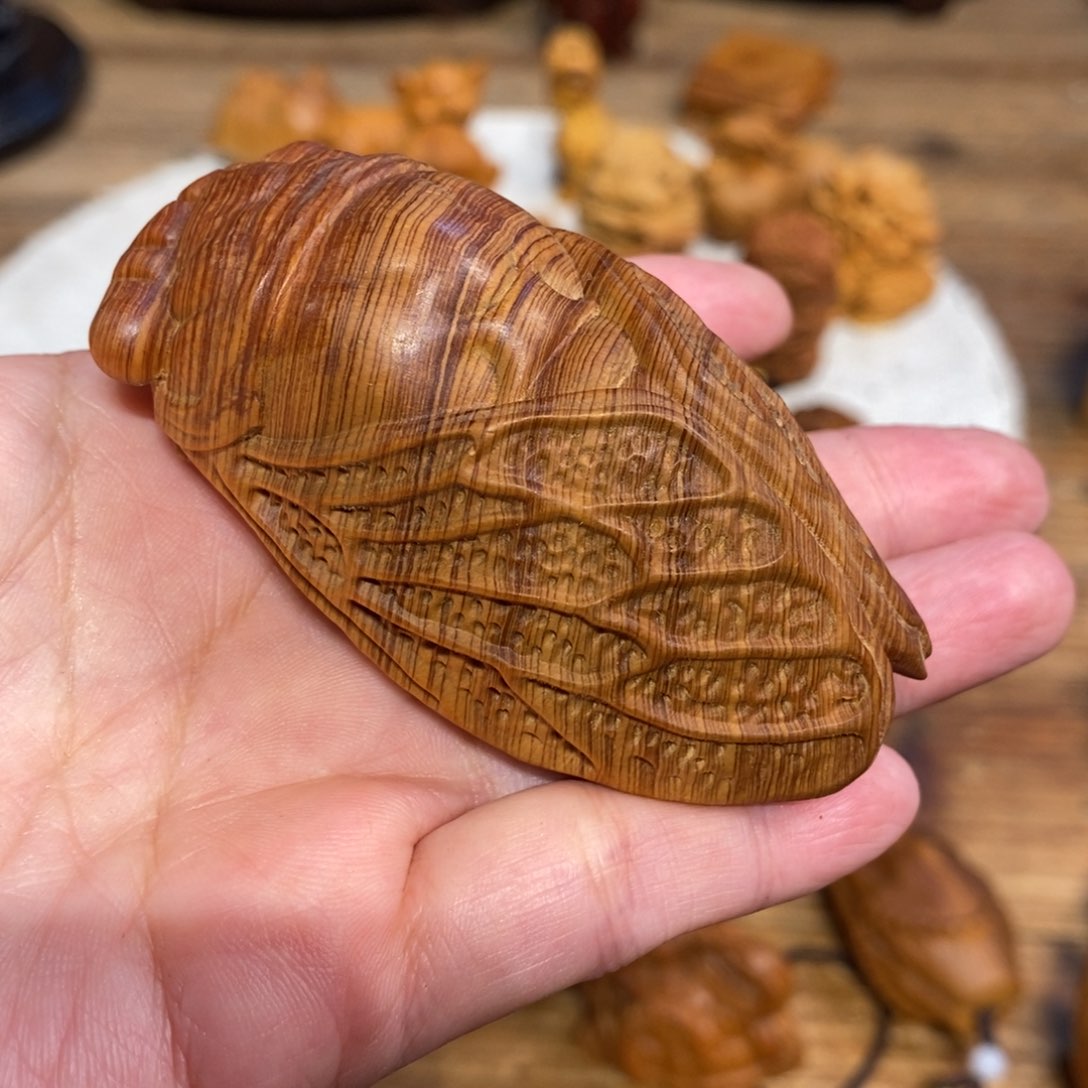 柏木（崖柏）哥****哥崖柏，