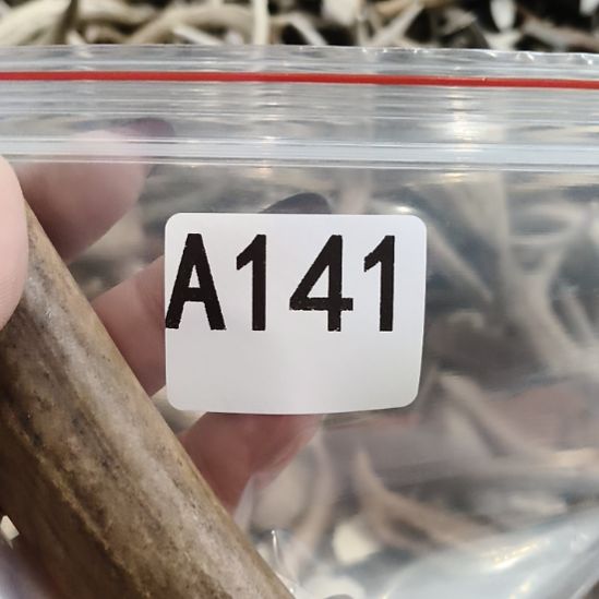 沉***。鹿角鹿角鹿角鹿角鹿角