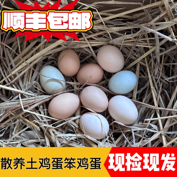 东北散养土鸡蛋笨鸡蛋50枚 顺丰包邮