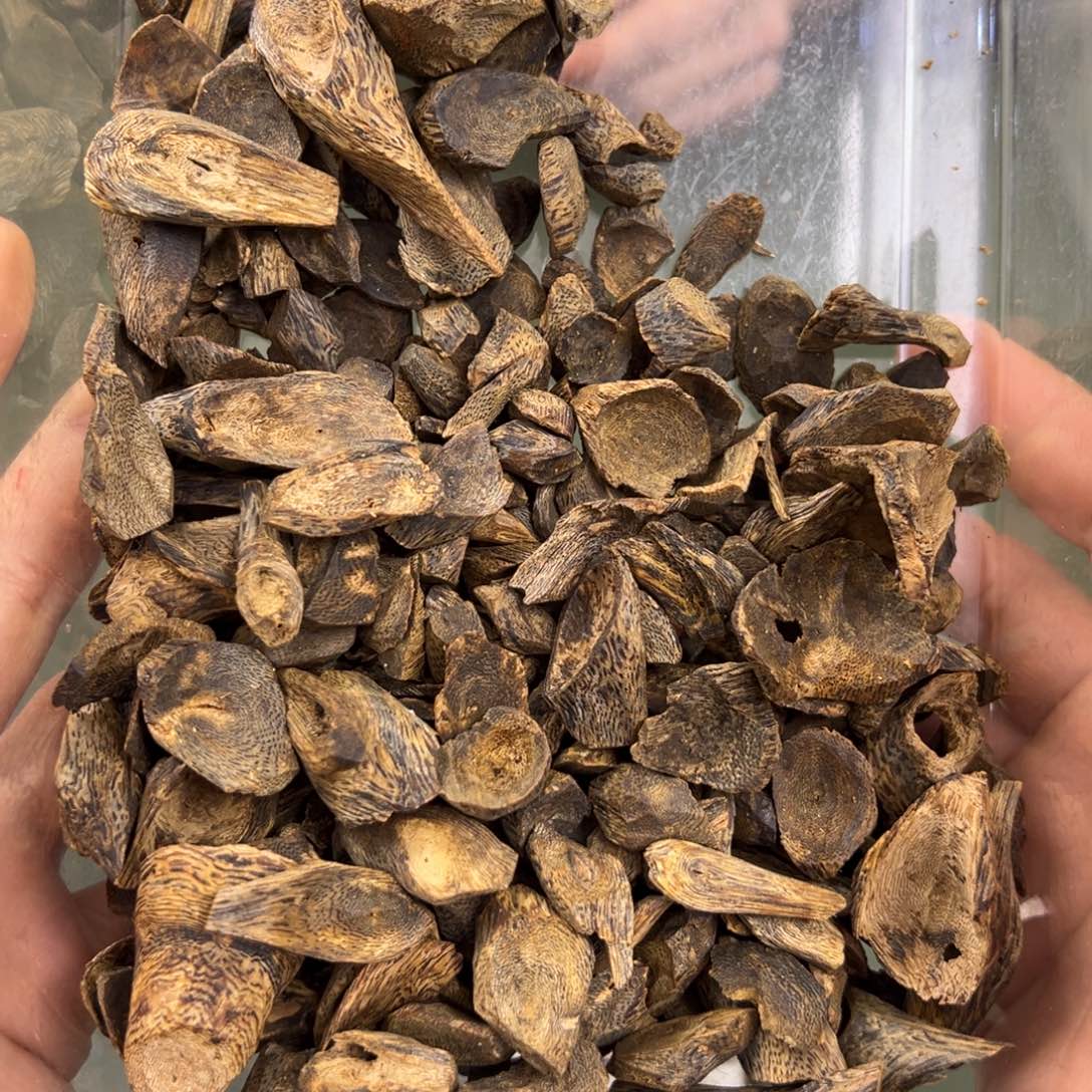 沉香手把件透顶绿高油包壳碎料20g