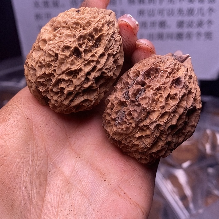 核桃云南野生铁核桃200号41mm
