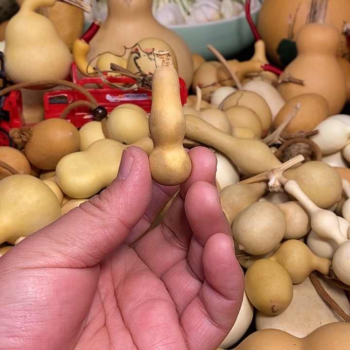 容*.精品葫芦手把葫芦66