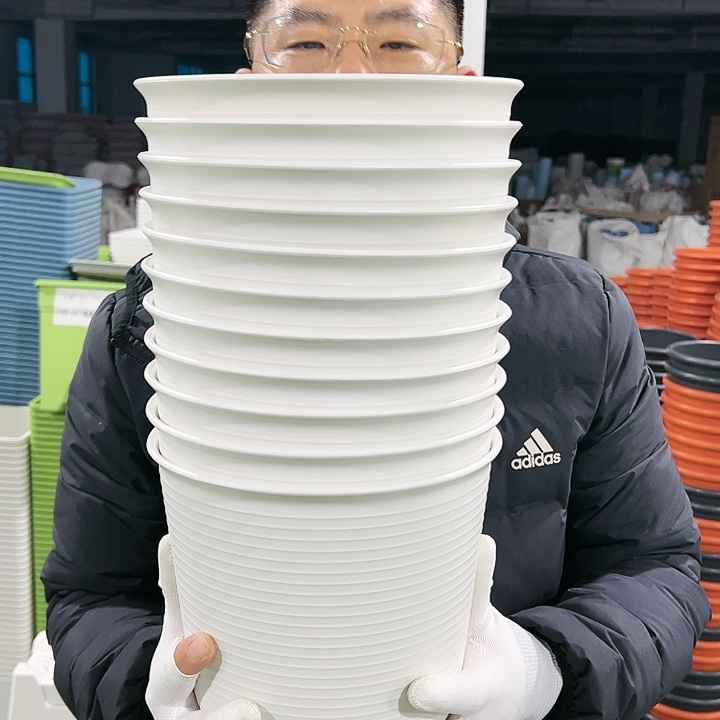 正品高陶口21高21白色无托6个