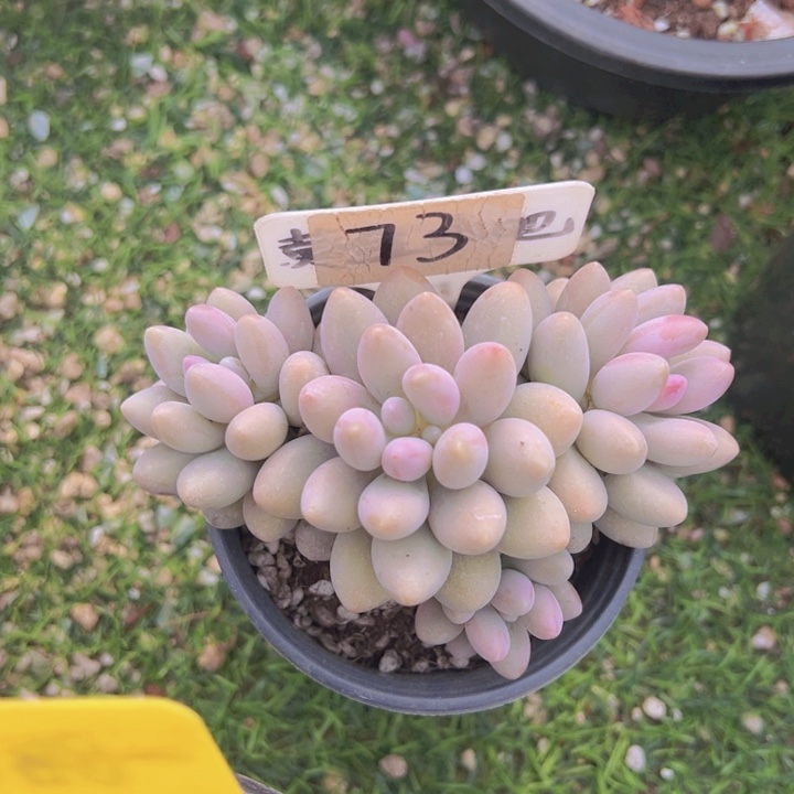 健健康康平平安安