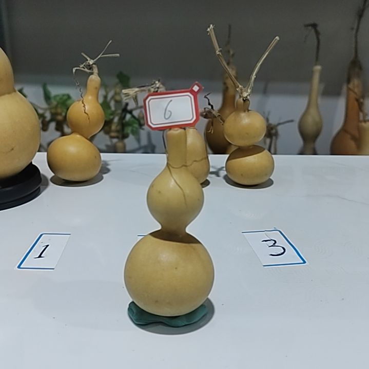 顺译葫芦直播间蚂蚁葫芦八宝6