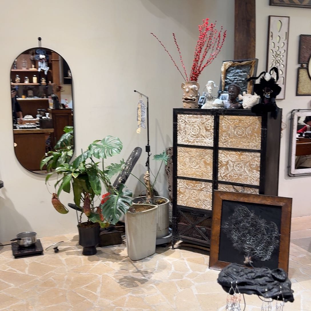 茶宠噜啦啦啦啦啦啦