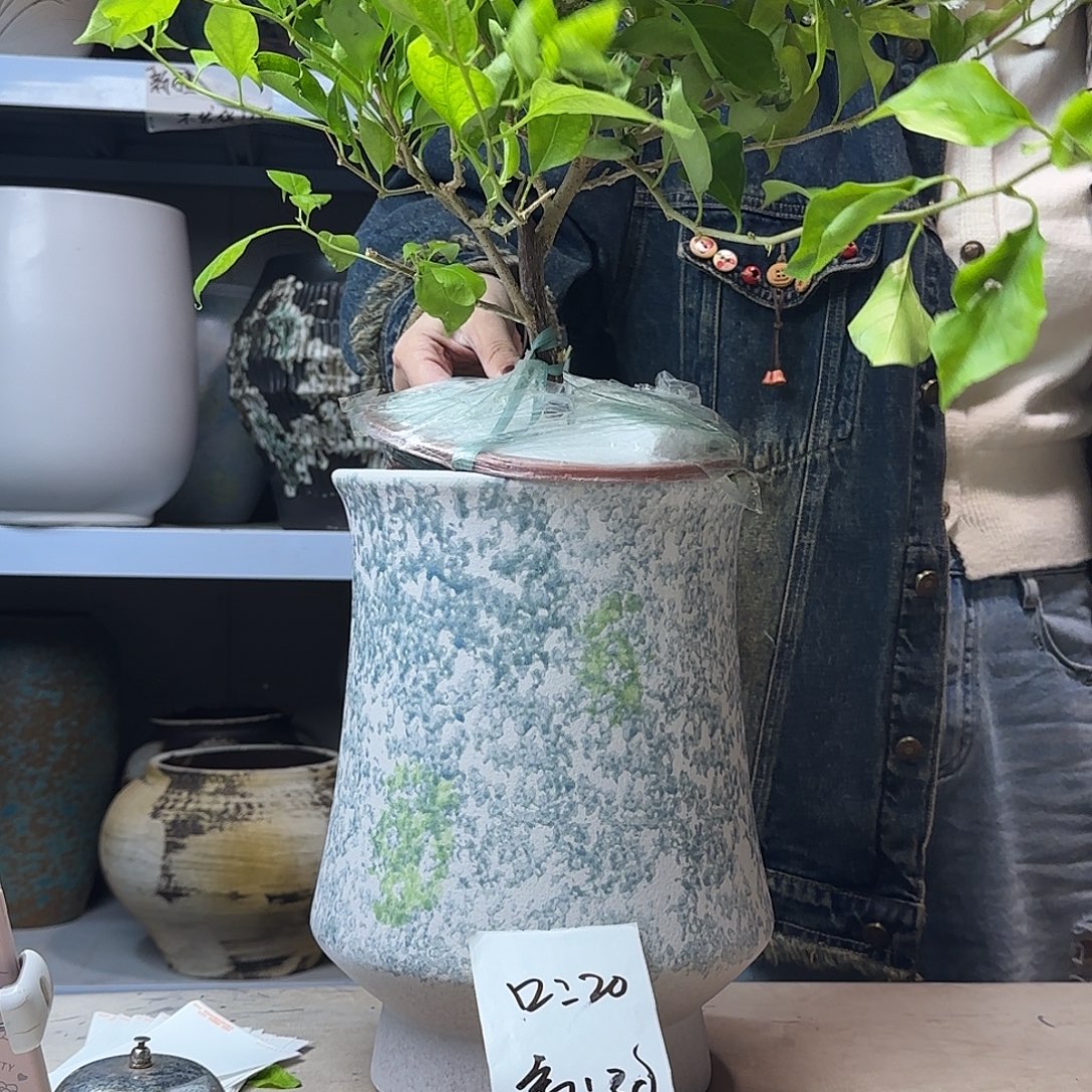 20@30 紫砂花盆尺寸