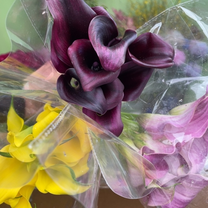 完全开放10号马蹄莲3把25支