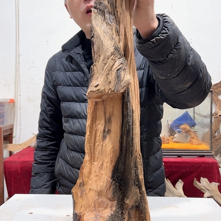 柏木和**尘我们都是好孩子呀我