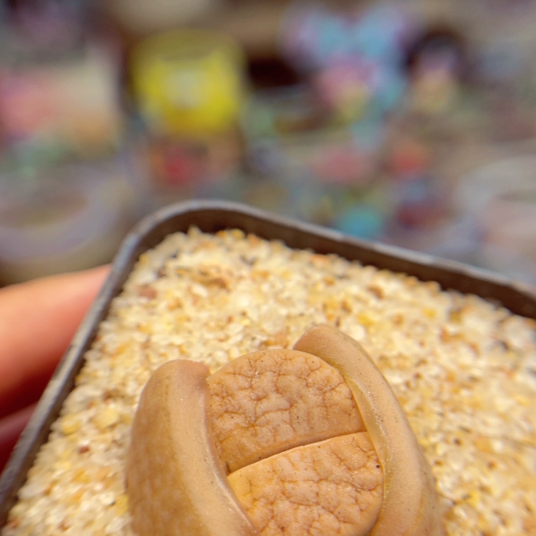 103。6789877998777777