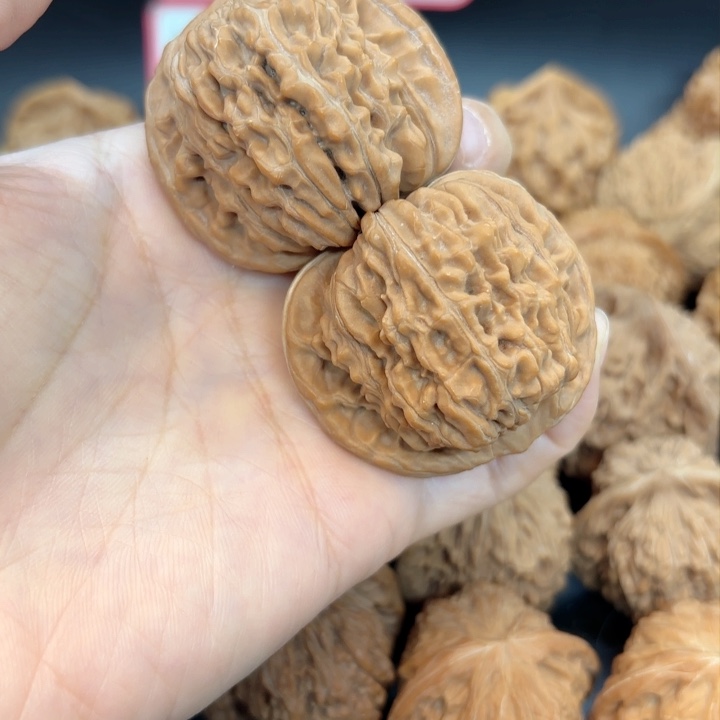 44四座楼全品无修全品