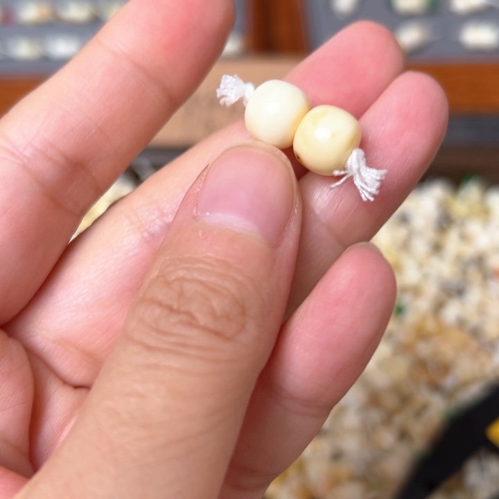 蜜蜡未镶嵌裸石8.7mm一对