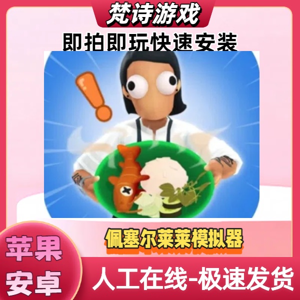 佩塞尔莱莱 游戏安装服务