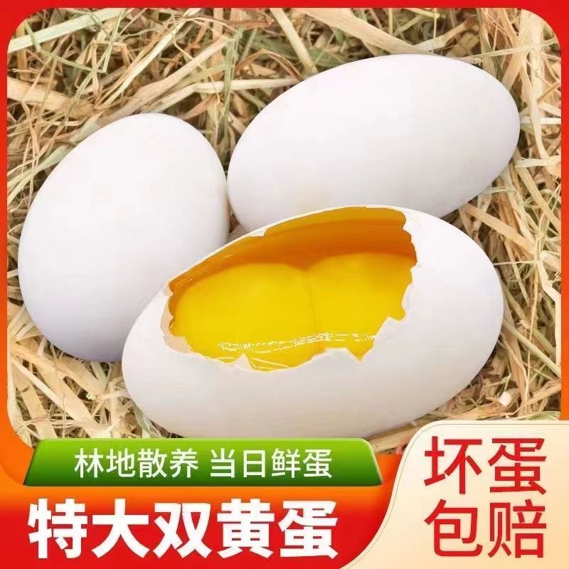 双黄鹅蛋，适合腌咸鹅蛋