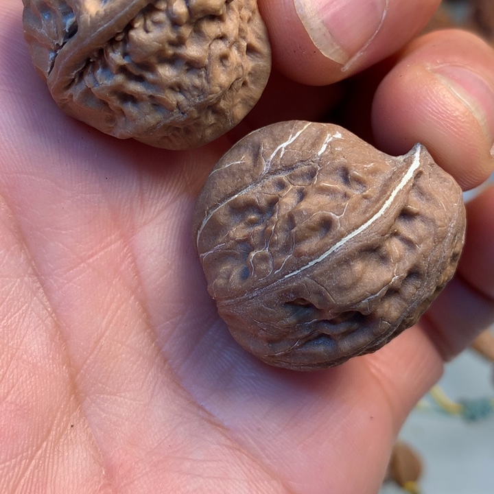 文玩核桃吊坠拿姐10