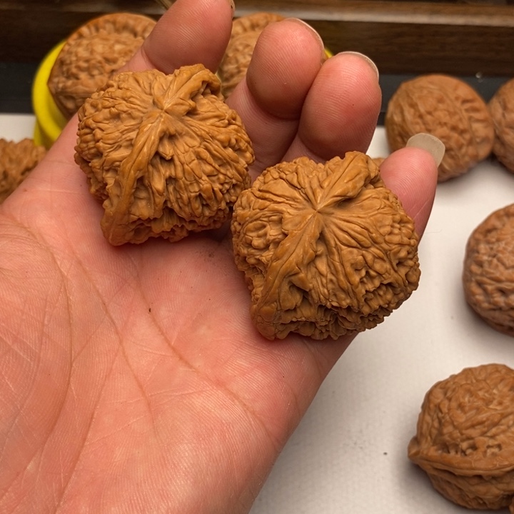 传***承核桃手串/手链南疆石狮子头45尺寸有黄金线
